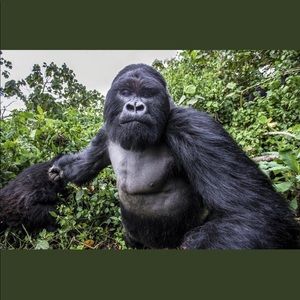 Meet your Posher, Jake